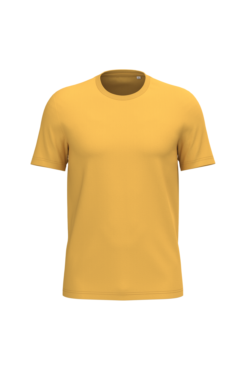 https://impresamissoni.com/_im/_printoterra/native-spirit/packshots/ns305/ns305-sun_yellow-a1.png