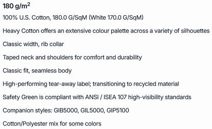 HEAVY COTTON™ ADULT T-SHIRT