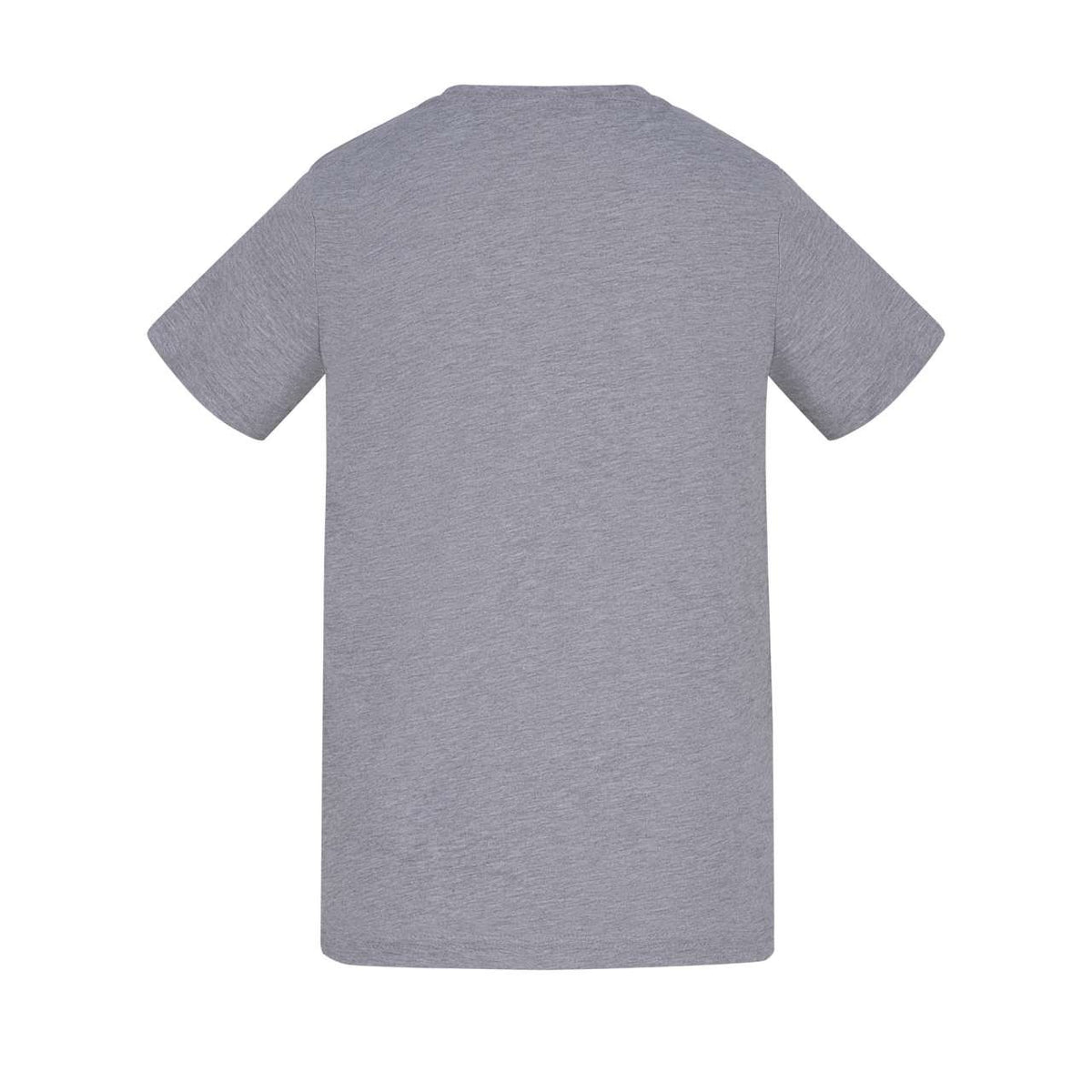 https://www.ldy.hr/_assets/_PrintoTerra/awdis/packshots/awat002j/awat002j-heather_grey-2.jpg