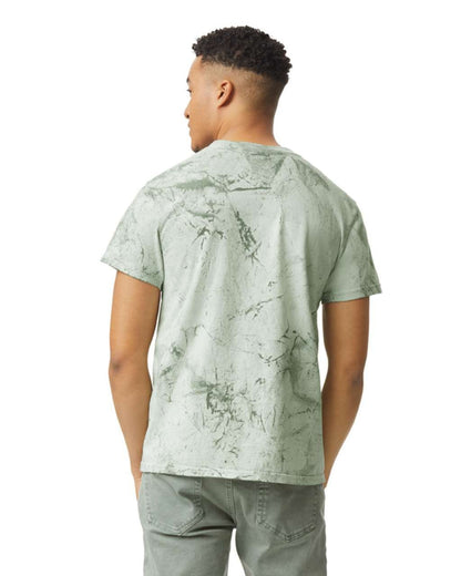 HEAVY WEIGHT COLOR BLAST ADULT T-SHIRT – Fern | PrintoTerra