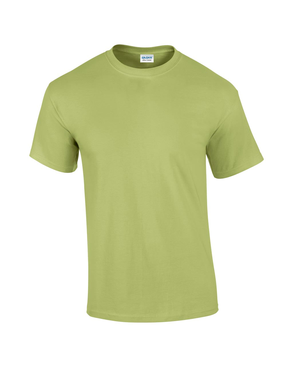 https://impresamissoni.com/_im/_printoterra/gildan/packshots/gi2000/gi2000-pistachio-c1.jpg