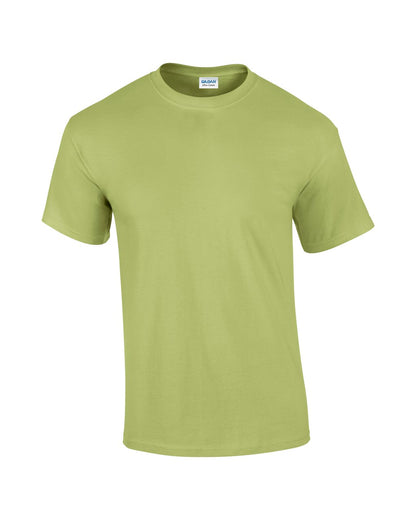 https://impresamissoni.com/_im/_printoterra/gildan/packshots/gi2000/gi2000-pistachio-c1.jpg