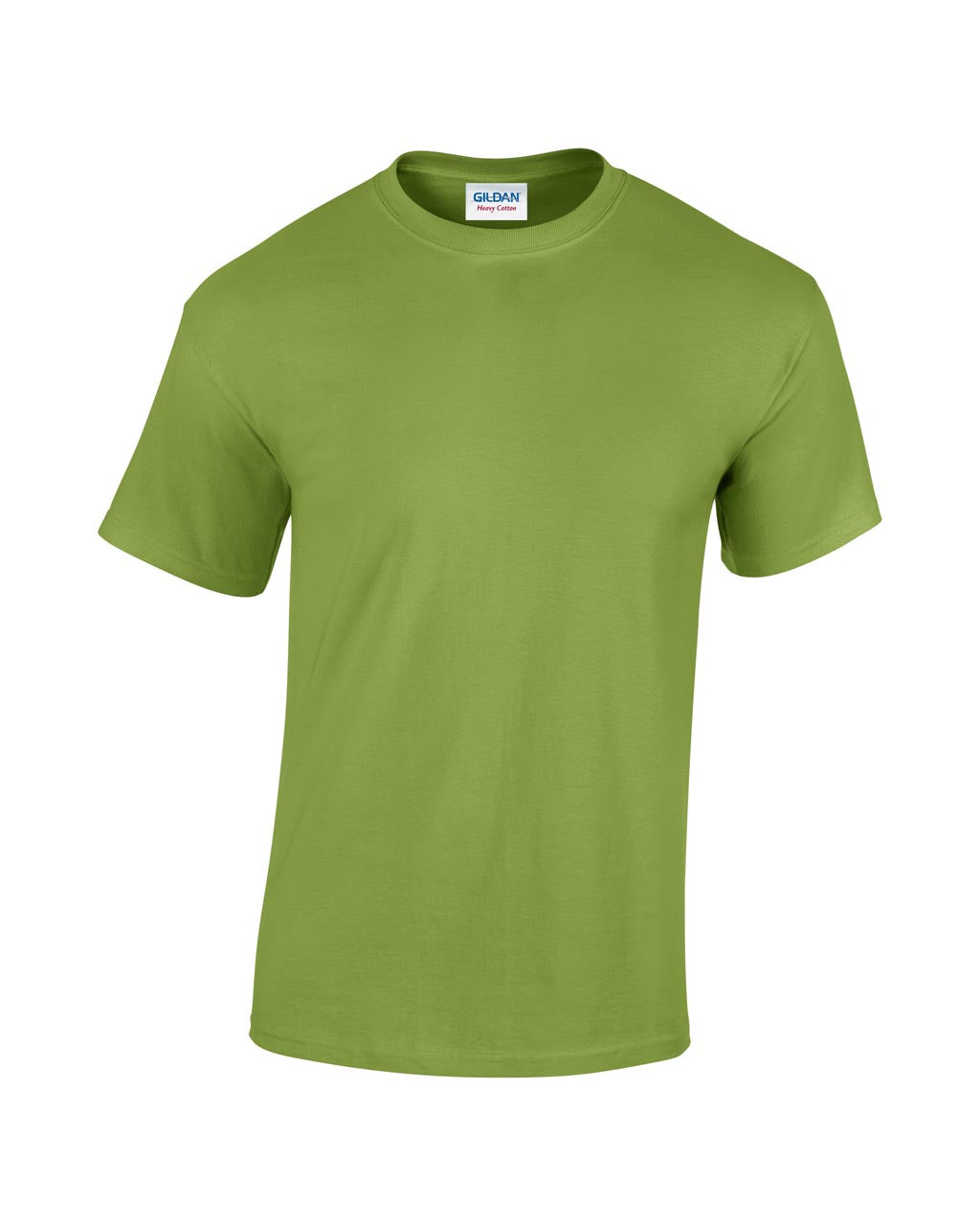 https://impresamissoni.com/_im/_printoterra/gildan/packshots/gi5000/gi5000-kiwi-c1.jpg