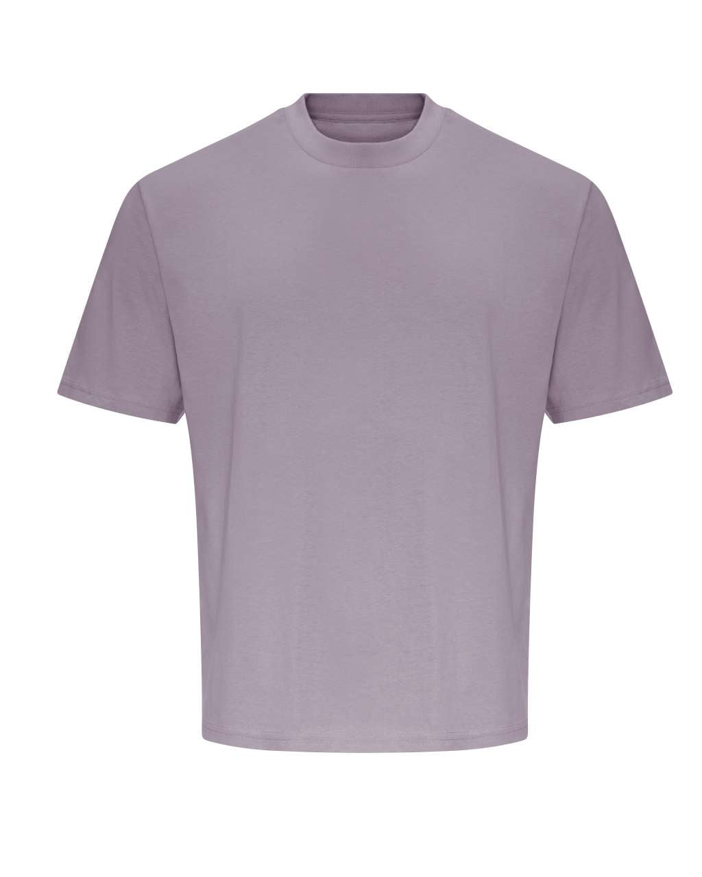 https://impresamissoni.com/_im/_printoterra/just-tees/packshots/jt009/jt009-dusty_lilac-a1.jpg