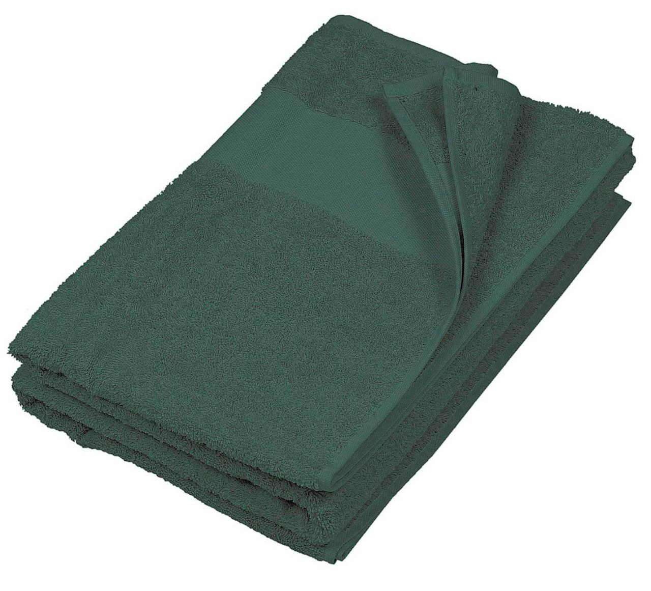 https://impresamissoni.com/_im/_printoterra/kariban/packshots/ka113/ka113-forest_green-a1.jpg