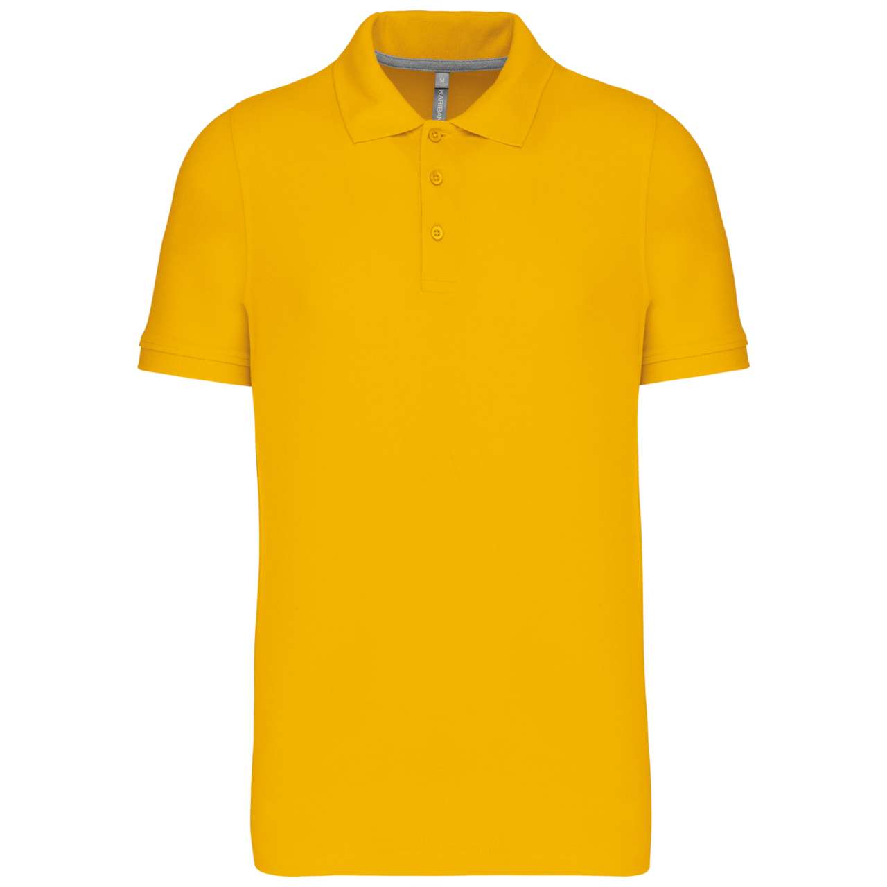 https://impresamissoni.com/_im/_printoterra/kariban/packshots/ka241/ka241-yellow-a3.jpg