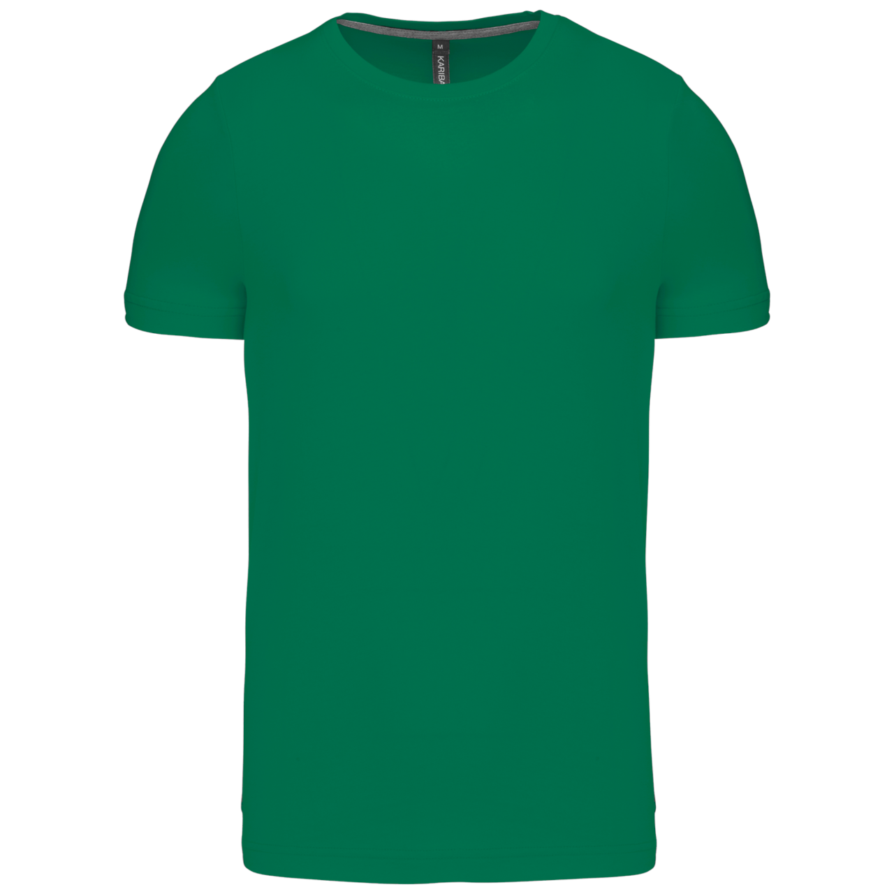 https://impresamissoni.com/_im/_printoterra/kariban/packshots/ka356/ka356-kelly_green-a1.png