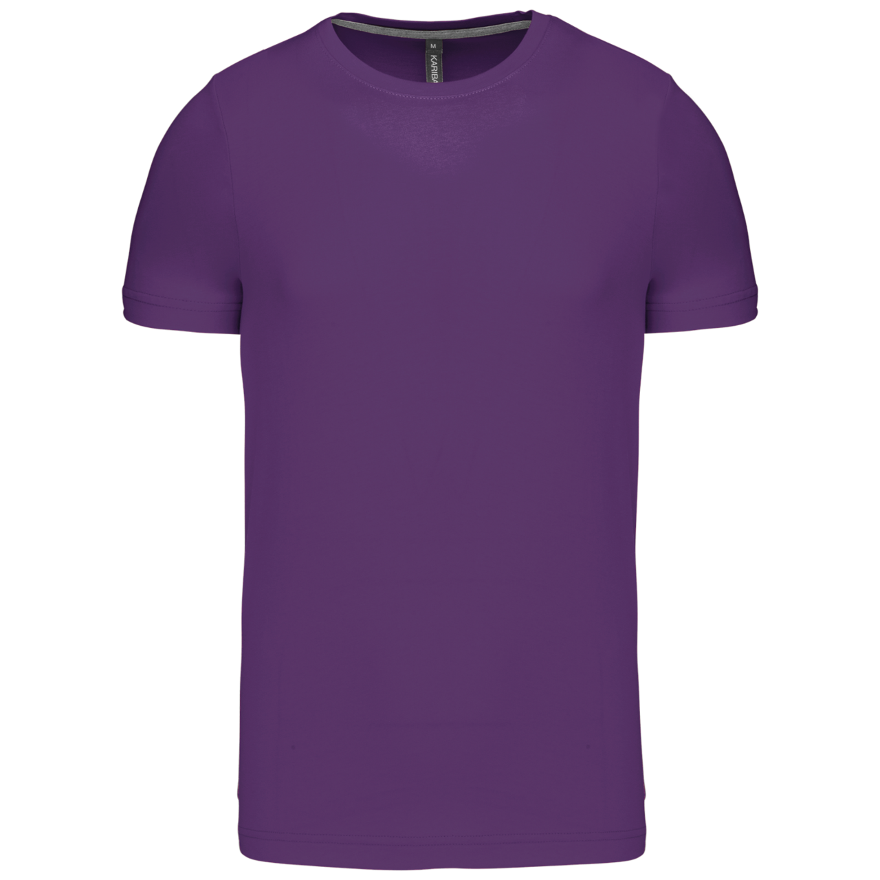 https://impresamissoni.com/_im/_printoterra/kariban/packshots/ka356/ka356-purple-a1.png