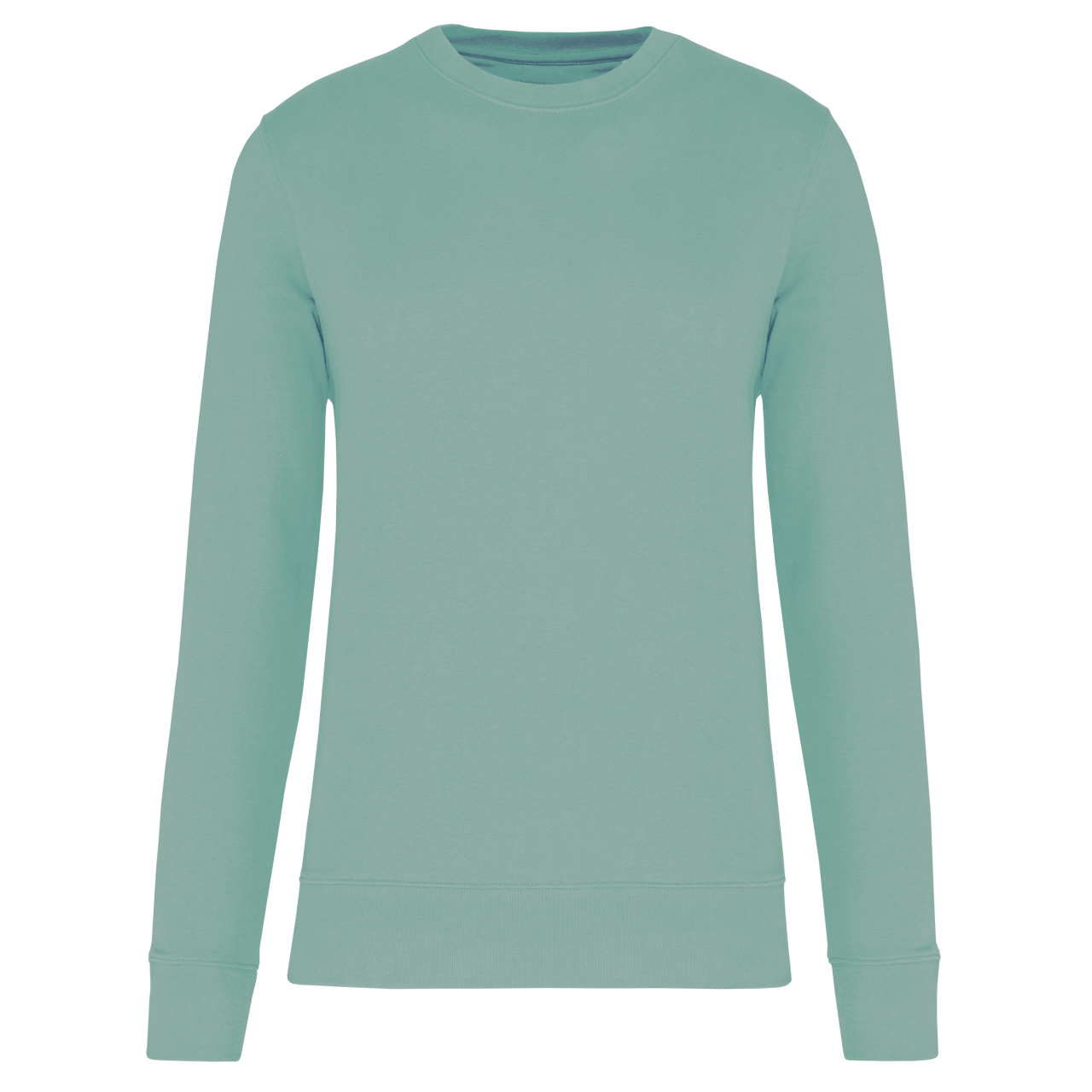 https://impresamissoni.com/_im/_printoterra/kariban/packshots/ka4026/ka4026-sage-a1.png
