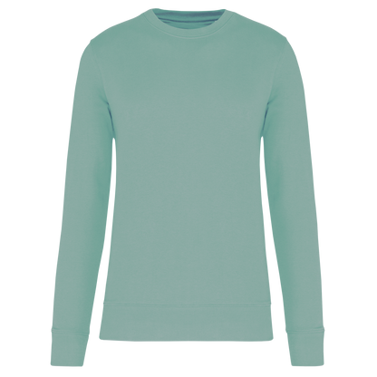 https://impresamissoni.com/_im/_printoterra/kariban/packshots/ka4026/ka4026-sage-a1.png