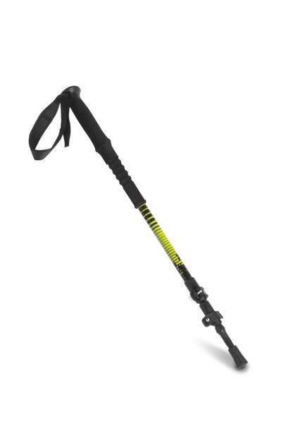 https://impresamissoni.com/_im/_printoterra/kimood/model/ki3012/ki3012-1.png