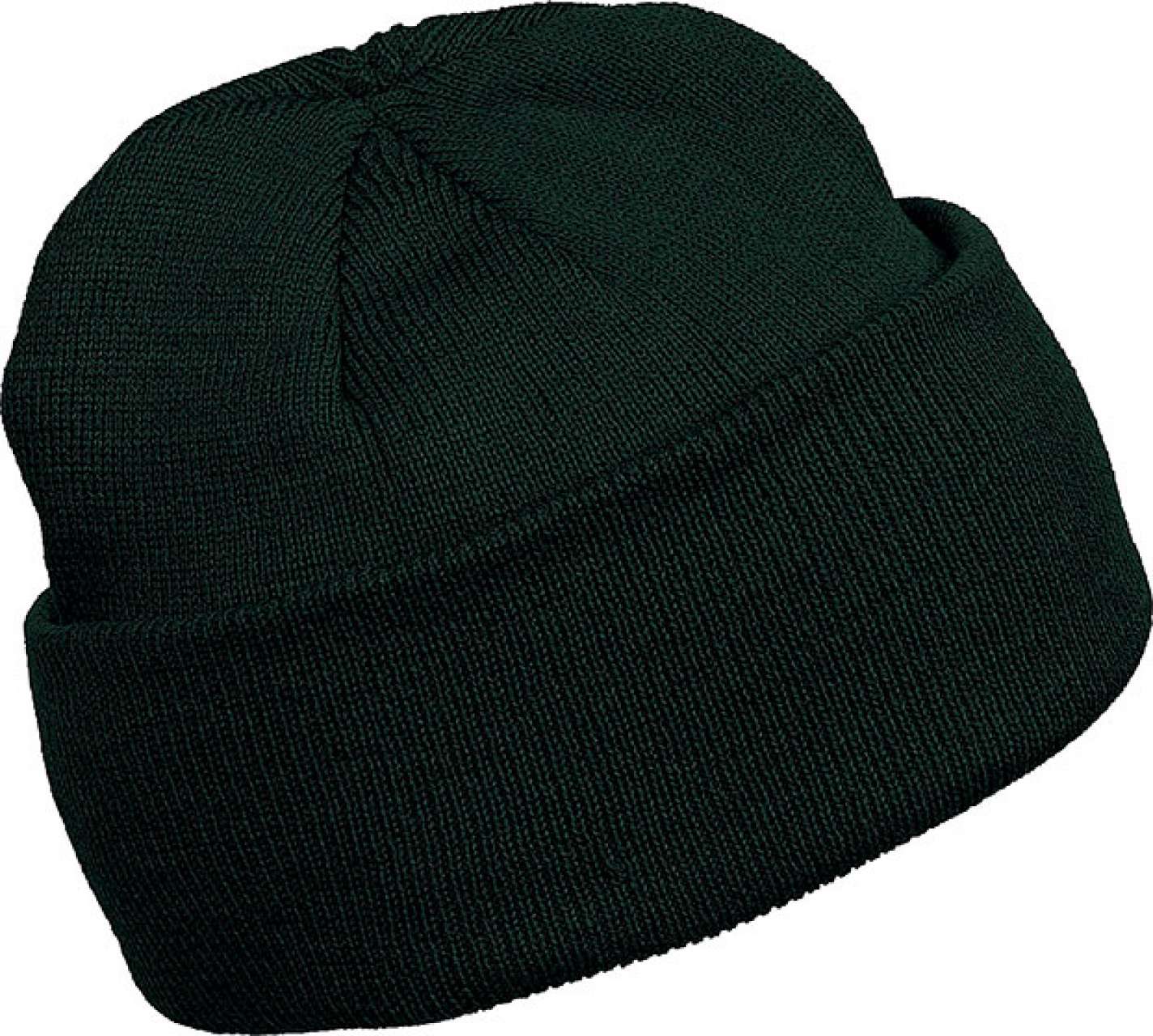 https://impresamissoni.com/_im/_printoterra/kup/packshots/kp031/kp031-forest_green-a1.jpg