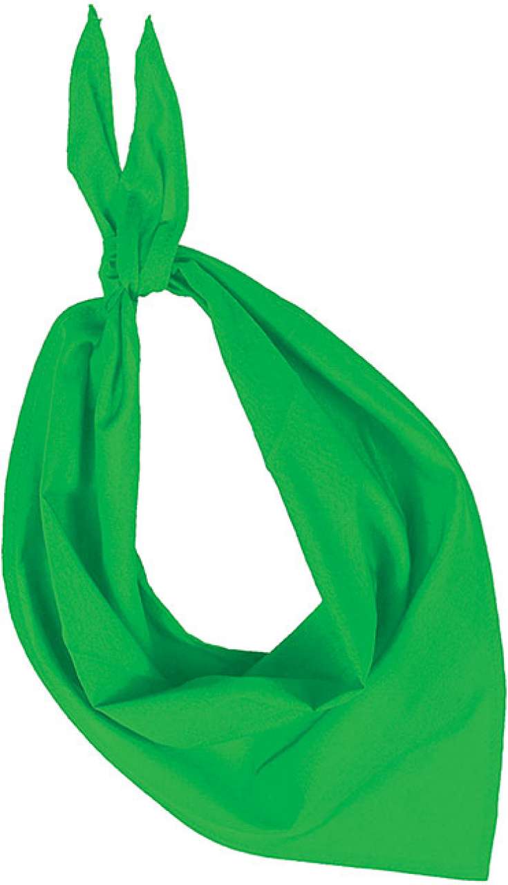 https://impresamissoni.com/_im/_printoterra/kup/packshots/kp064/kp064-green-a1.jpg