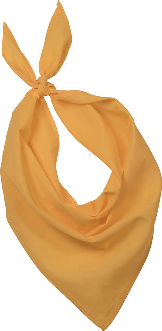 https://impresamissoni.com/_im/_printoterra/kup/packshots/kp064/kp064-yellow-a1.jpg