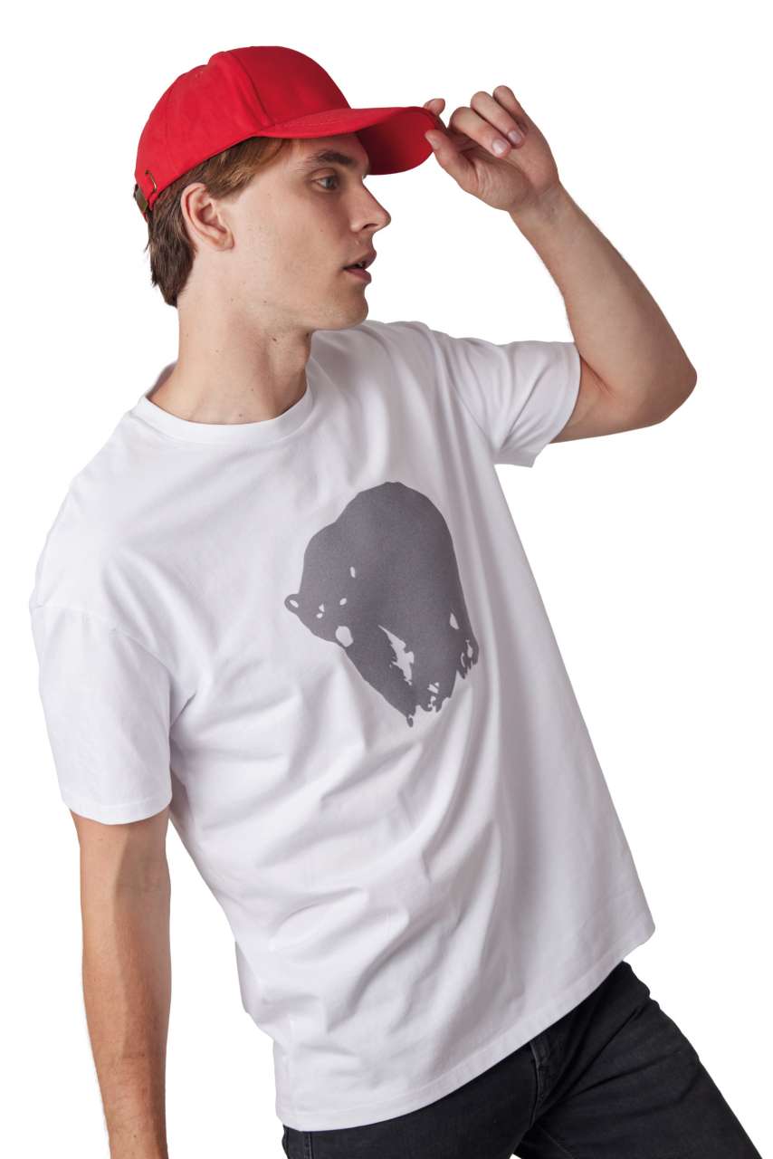 https://impresamissoni.com/_im/_printoterra/kup/model/kp108/kp108-12.jpg