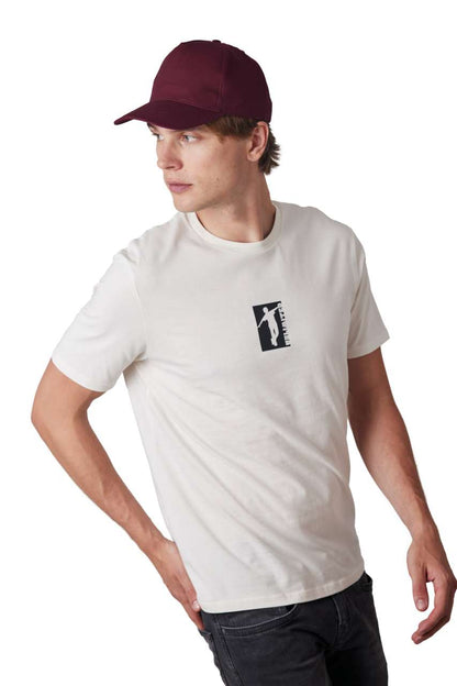 https://impresamissoni.com/_im/_printoterra/kup/model/kp116/kp116-11.jpg