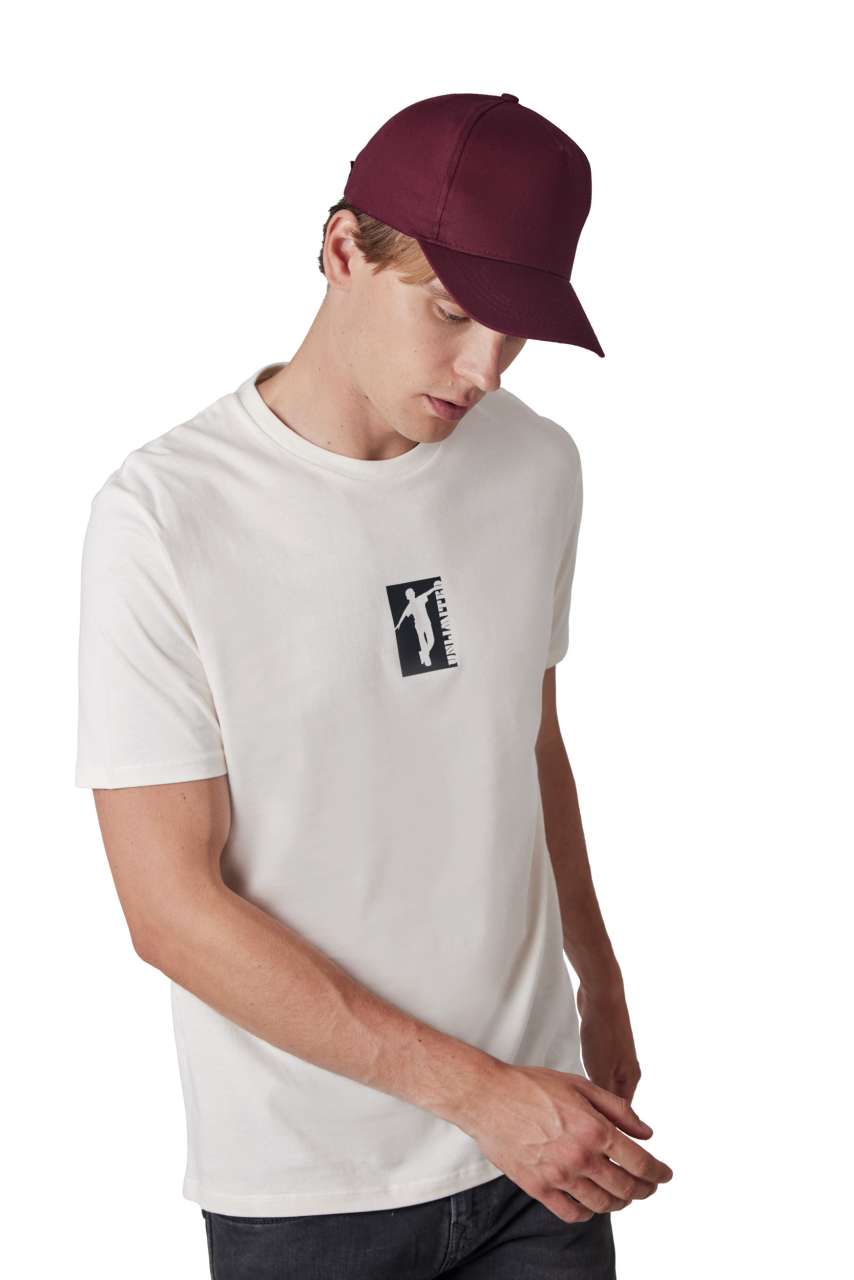 https://impresamissoni.com/_im/_printoterra/kup/model/kp116/kp116-6.jpg