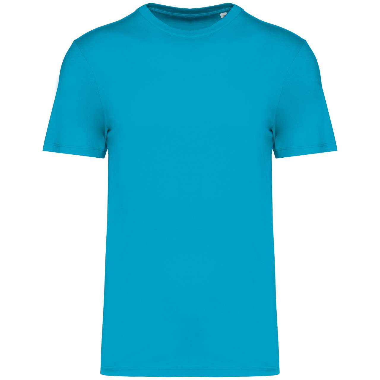 https://impresamissoni.com/_im/_printoterra/native-spirit/packshots/ns300/ns300-light_turquoise-a2.jpg
