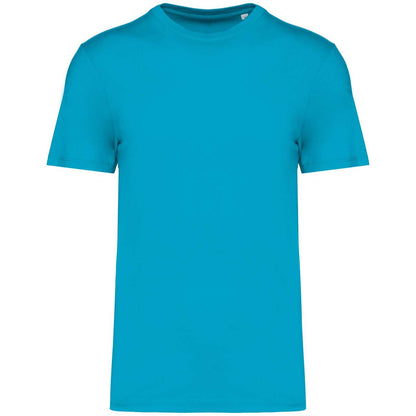 https://impresamissoni.com/_im/_printoterra/native-spirit/packshots/ns300/ns300-light_turquoise-a2.jpg