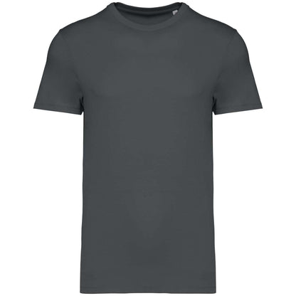 https://impresamissoni.com/_im/_printoterra/native-spirit/packshots/ns305/ns305-iron_grey-a1.jpg