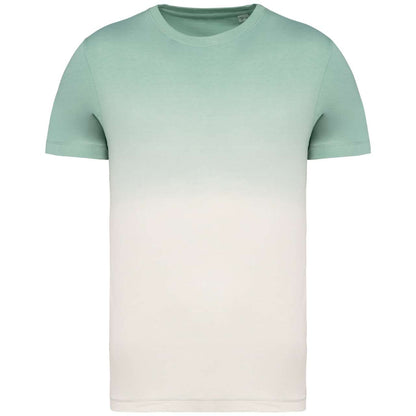 https://impresamissoni.com/_im/_printoterra/native-spirit/packshots/ns345/ns345-dip_dye_jade_green-a1.jpg