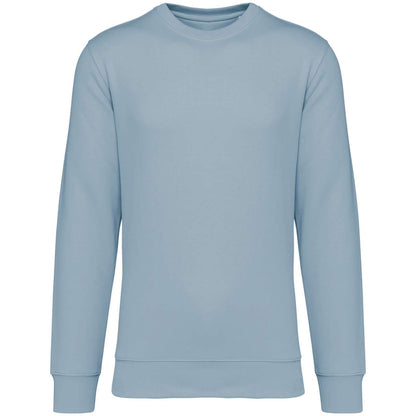 https://impresamissoni.com/_im/_printoterra/native-spirit/packshots/ns400/ns400-aquamarine-a1.jpg