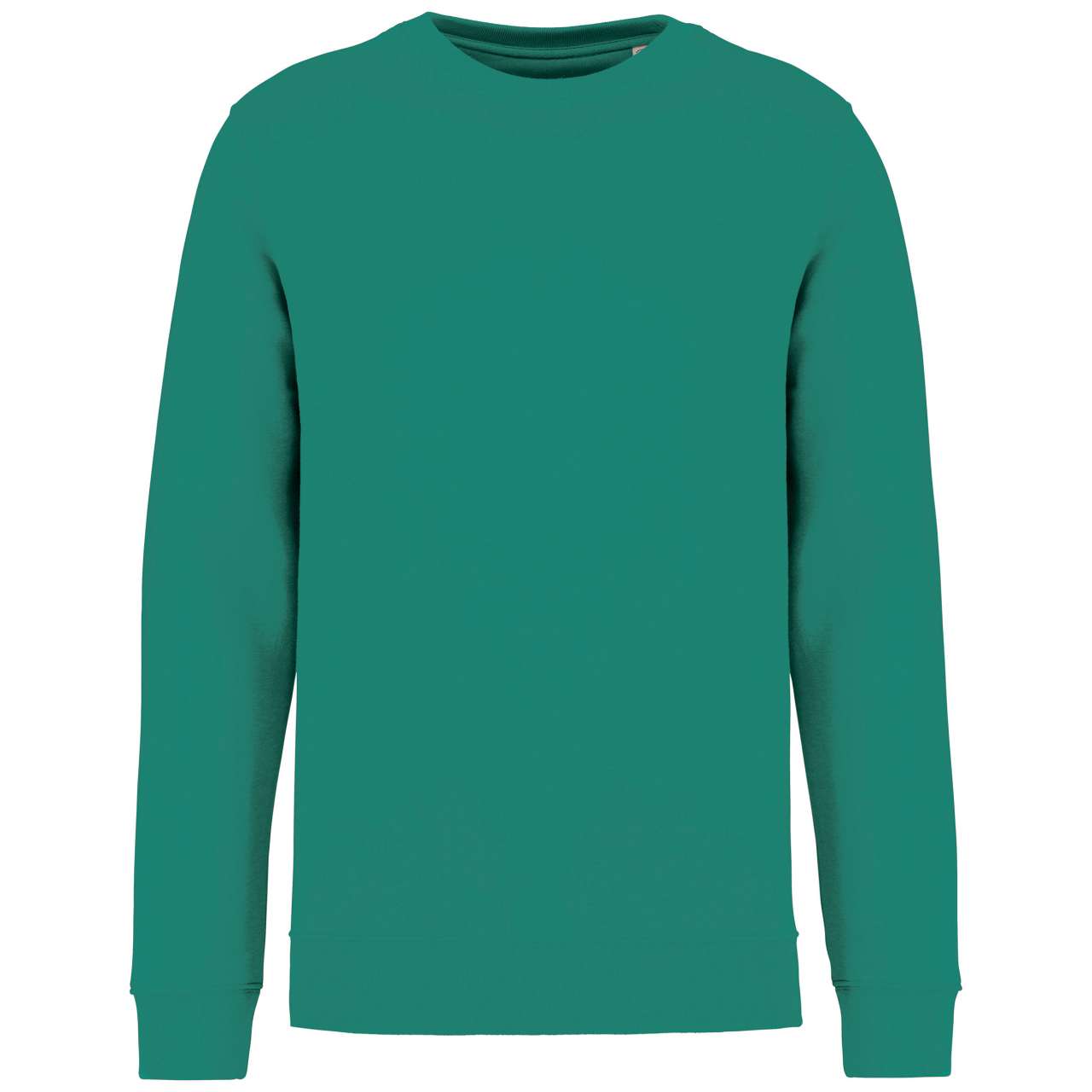 https://impresamissoni.com/_im/_printoterra/native-spirit/packshots/ns400/ns400-gemstone_green-a1.jpg