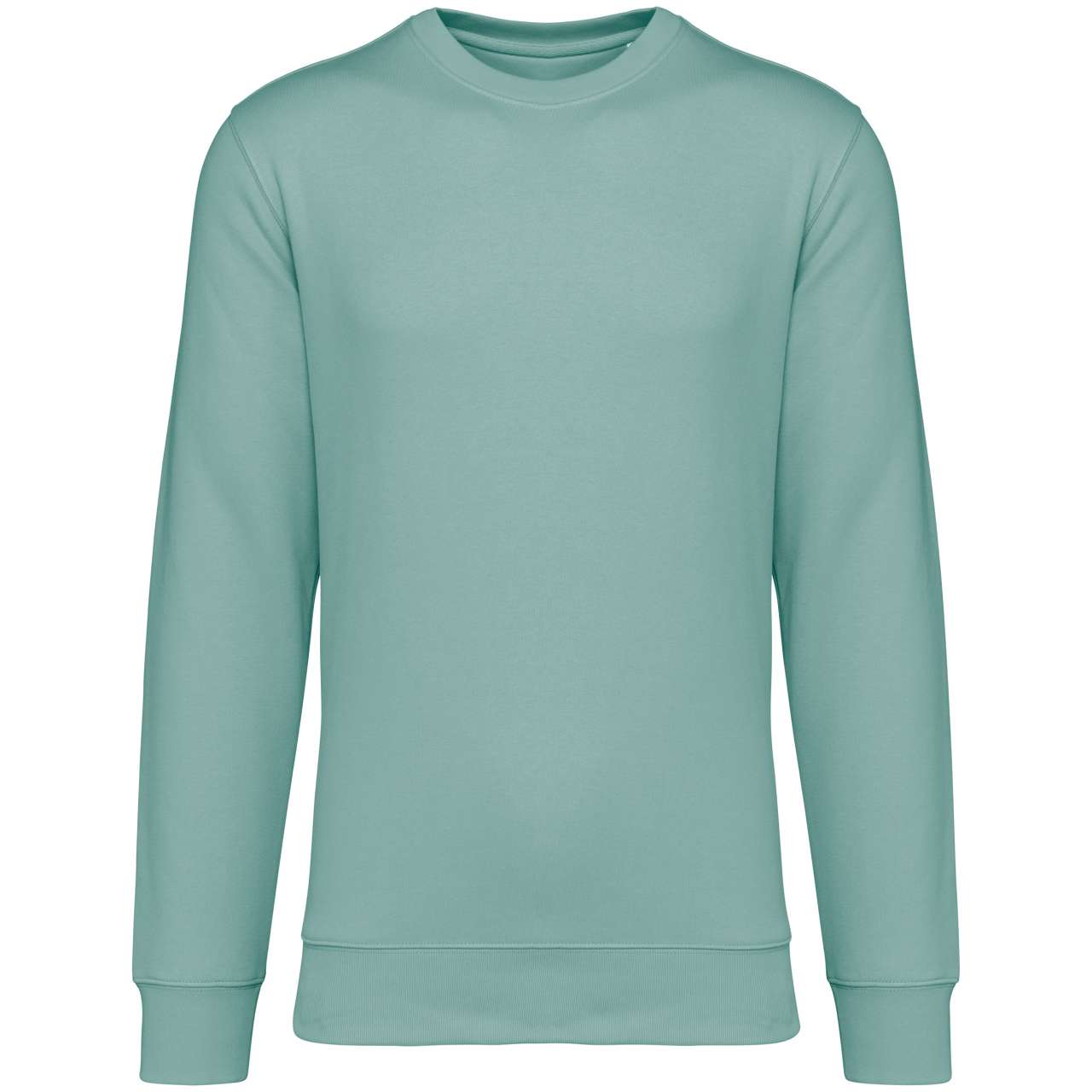 https://impresamissoni.com/_im/_printoterra/native-spirit/packshots/ns400/ns400-jade_green-a1.jpg