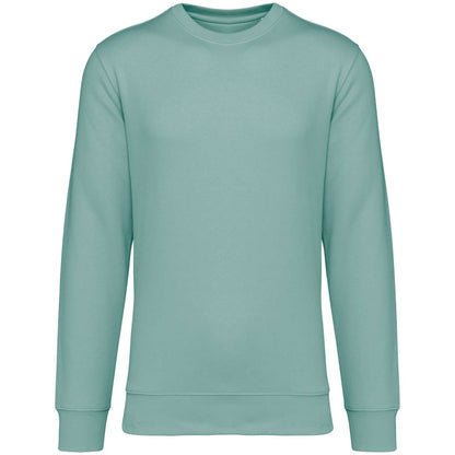 https://impresamissoni.com/_im/_printoterra/native-spirit/packshots/ns400/ns400-jade_green-a1.jpg
