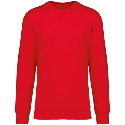 https://impresamissoni.com/_im/_printoterra/native-spirit/packshots/ns400/ns400-poppy_red-a1.jpg
