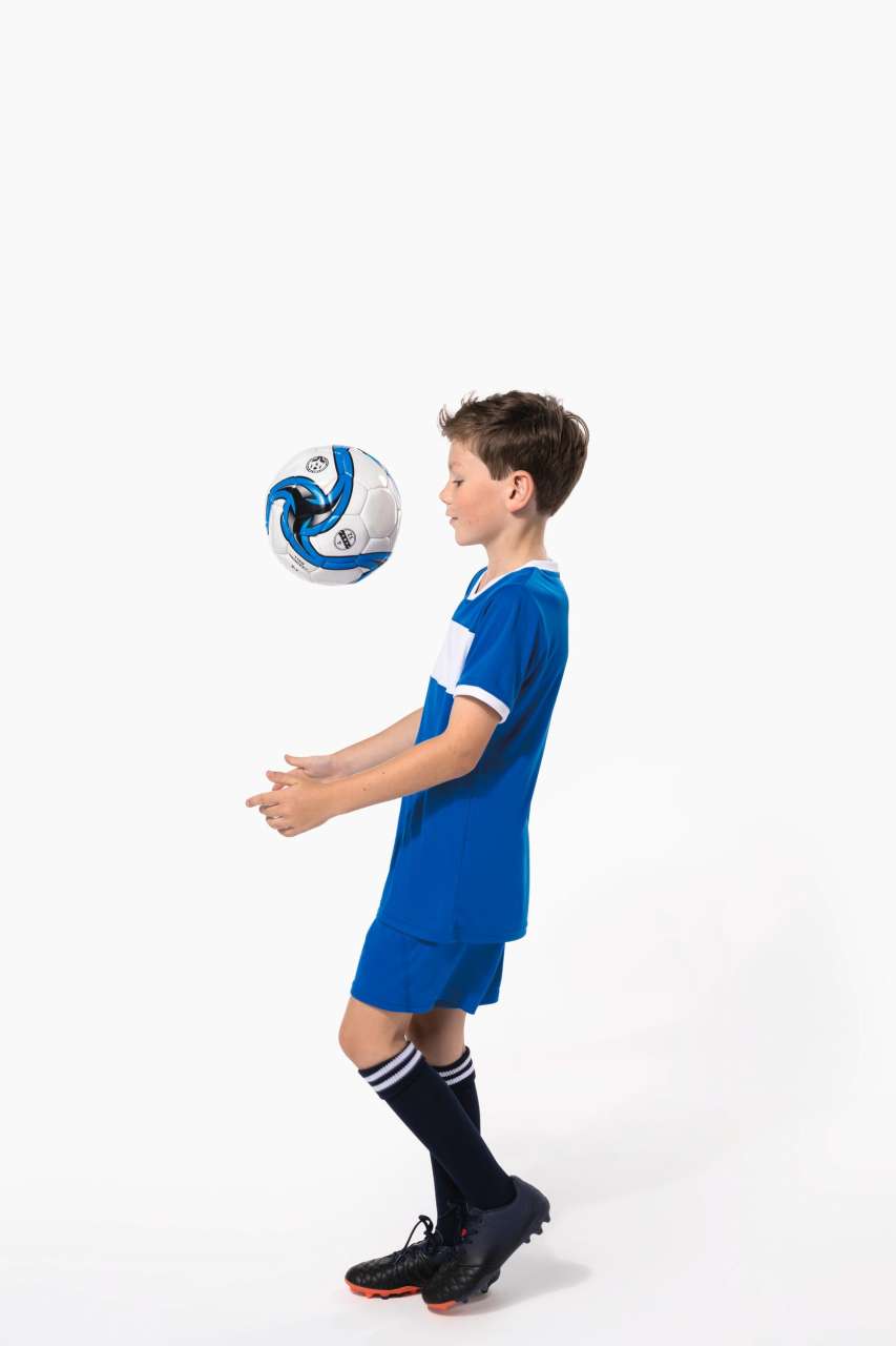 https://impresamissoni.com/_im/_printoterra/proact/model/pa4001/pa4001-12.jpg