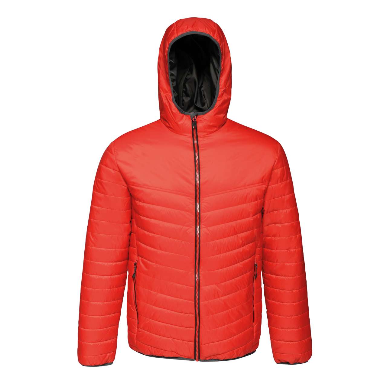 https://impresamissoni.com/_im/_printoterra/regatta/model/retra420/retra420-1.jpg