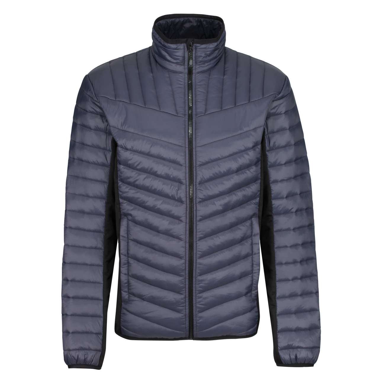 https://impresamissoni.com/_im/_printoterra/regatta/packshots/retra529/retra529-seal_grey_black-a1.jpg